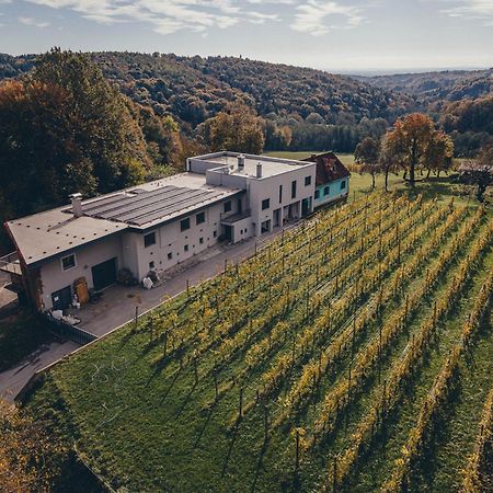 Posestvo Gjerkes Villa Rogasovci Exterior photo