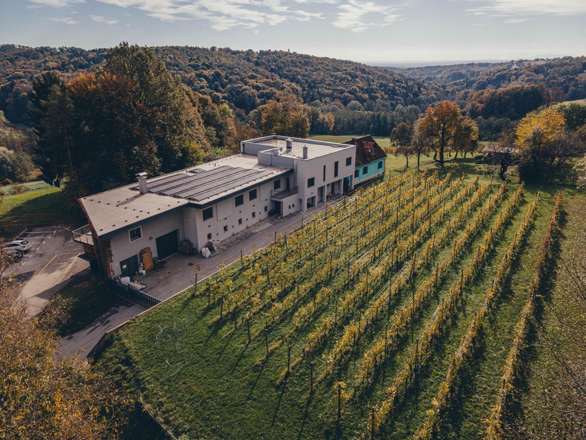 Posestvo Gjerkes Villa Rogasovci Exterior photo